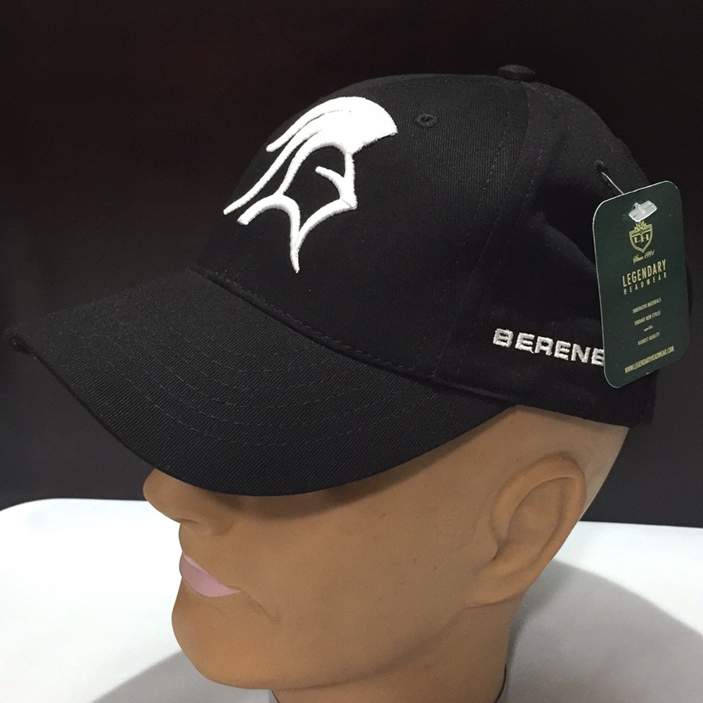 NWT hat
